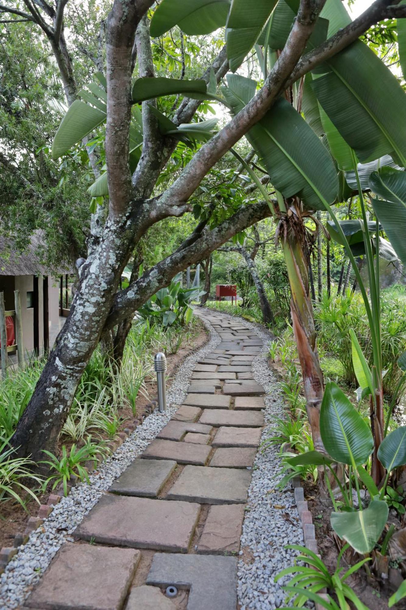 האזיביו Umbhaba Eco Lodge מראה חיצוני תמונה